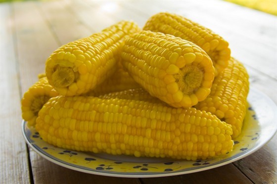 Отварная кукуруза в початках